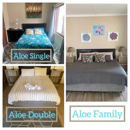 Aloe Guest Rooms ブルームフォンテーン エクステリア 写真